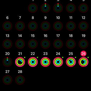 IMG_0151.PNG