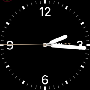 IMG_1217.PNG