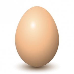 image.jpeg