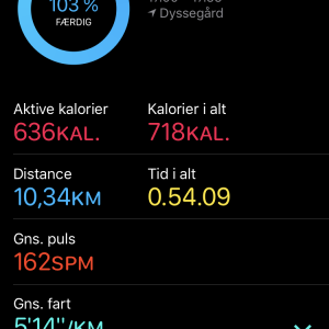 IMG_2452.PNG