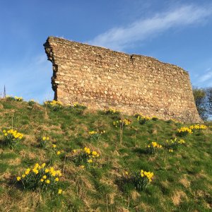 IMG_1310.jpg