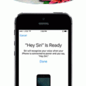 pop.gif
