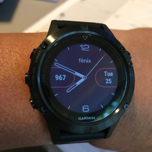 Fenix 5.jpeg