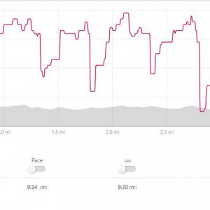 Heart rate 2.JPG