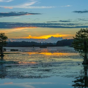 Wetlands Sunrise - 2500px-9.jpg