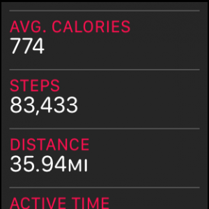 steps.png