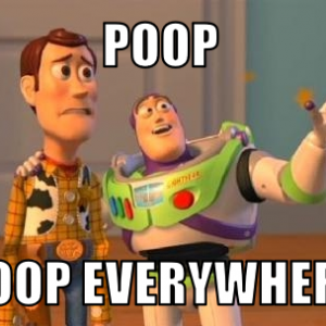 Poop.png