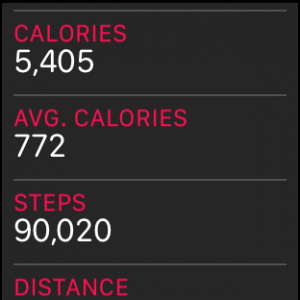 STEPS.png