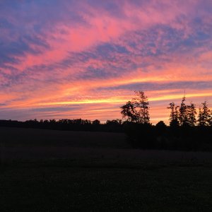 IMG_8855.JPG