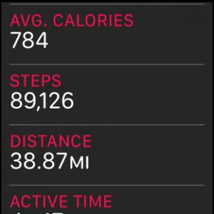 STEPS.png