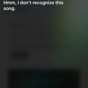 IMG_1213.PNG