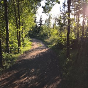 IMG_0343.jpg