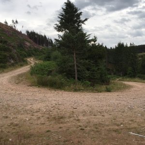 IMG_2338.jpg