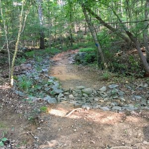 IMG_3012.jpg