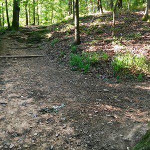 IMG_3011.jpg