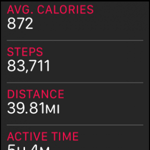 STEPS.png