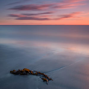 DSCF6110-Edit small MR.png