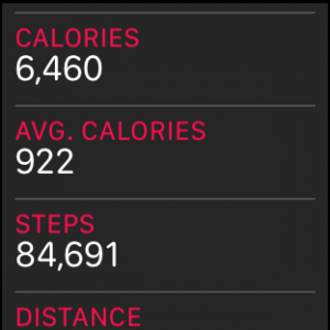 steps.png