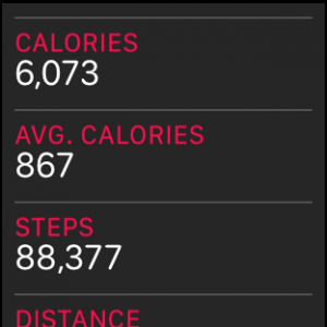 STEPS.png