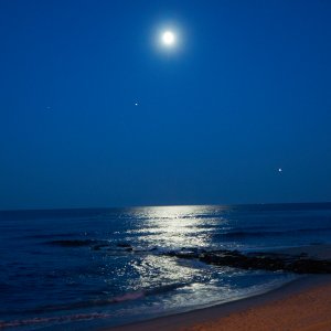 DSC00275Jul 07 2017.jpg