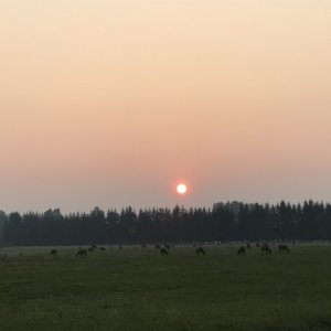 IMG_2727.jpg