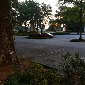 IMG_3235.jpg