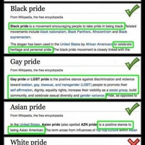 wikipride.jpg
