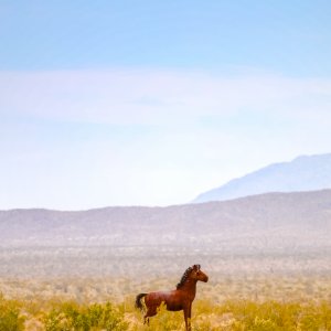 Water Fall (1 of 1)-2.jpg