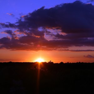 sunset 1.jpg