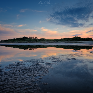 DSCF8030-Edit small PL.png