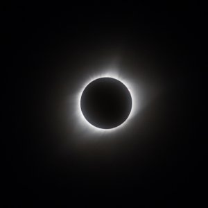 IMG_4579.jpg