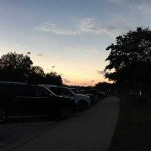 IMG_3338.jpg