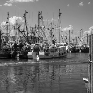 dockside2bwcrop811.jpg