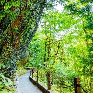 Oregon (1 of 1)-2.jpg