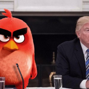 angry-cook-trump-800x450.jpg