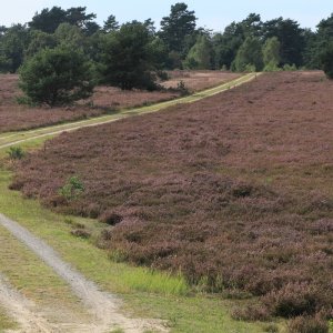 Long and winding road.jpg