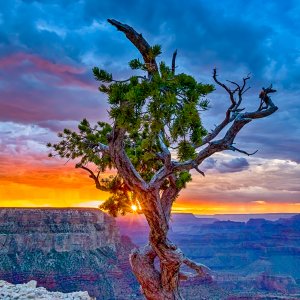 Grand Canyon-1-3.jpg