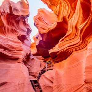 Antelope-10.jpg