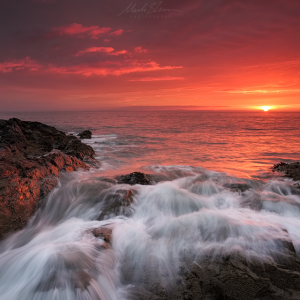 DSCF8939-Edit small PL.png