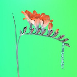 Flume6.jpg