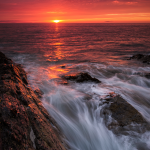 Evening Light small PL.png