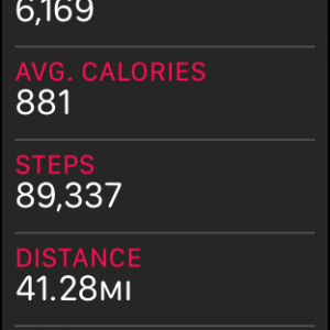 steps.png