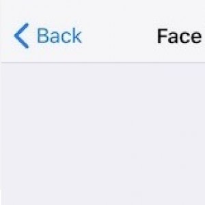macfaces.jpg