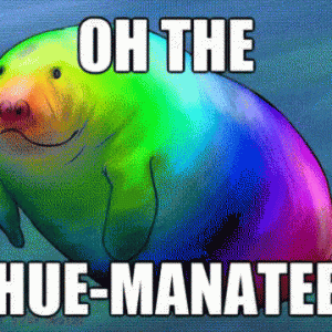 IMG_1750.GIF