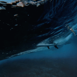 ezgif-4-da44cbdc73.gif