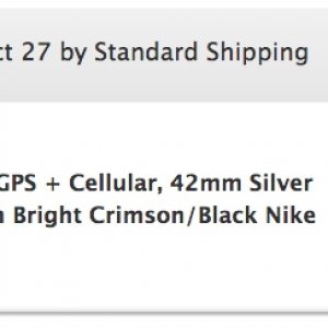 Apple Watch.jpeg