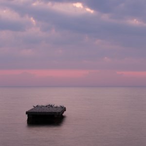 Sunrise (1 of 1).jpg