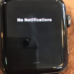 normal:clear backround.JPG