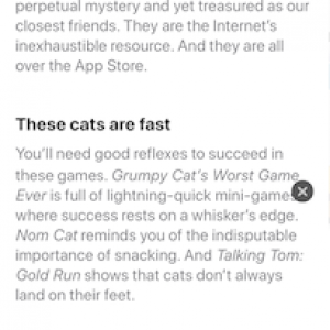 Play These Games Right Meow - small.PNG