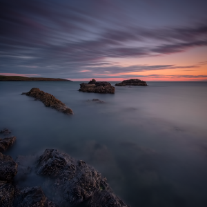 DSCF9096-Edit small PL.png